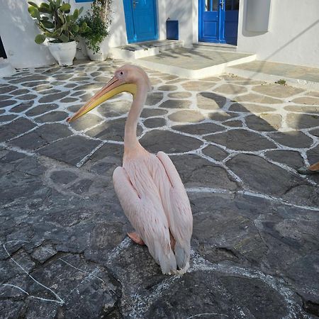 Lalaland Apartment Mykonos Town ภายนอก รูปภาพ
